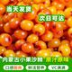 內(nèi)蒙古小果鮮果純果沙棘果正宗野生新鮮沙棘水果無添加含果油3斤 20袋 3斤