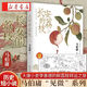 【新華正版】長(zhǎng)安的荔枝/太白金星有點(diǎn)煩馬伯庸作品歷史短小說(shuō)另著長(zhǎng)安十二時(shí)辰/顯微鏡下的大明中國(guó)文學(xué)類(lèi)小說(shuō)口碑代表作見(jiàn)微系列文學(xué)歷史小說(shuō) 長(zhǎng)安的荔枝 新版