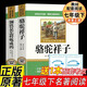 駱駝祥子+鋼鐵是怎樣煉成的全套2冊七年級下冊必讀名著京東正版圖書 人教版語文教材配套閱讀贈核心考點手冊 原版正版完整無刪減青少年版初中生必讀課外閱讀書籍 初一下冊學(xué)生閱讀中小學(xué)教輔圖書