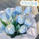 瓊花玉葉【四季開花】耐寒郁金香水培盆栽濃香型懶人綠植花卉盆栽室內(nèi)大種 天空藍郁金香稀有 水培套餐：進口大球5顆 (水培瓶＋石子＋生根粉）