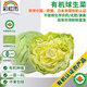 彩虹雨 北京農(nóng)場(chǎng)有機(jī)球生菜400g歐盟認(rèn)證 有機(jī)蔬菜生鮮自有農(nóng)場(chǎng)新鮮直發(fā)