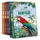 鳥(niǎo)類(lèi)世界大百科全4冊 彩圖版鳥(niǎo)類(lèi)起源探索鳥(niǎo)類(lèi)鳥(niǎo)類(lèi)王國鳥(niǎo)類(lèi)奧秘少兒百科圖書(shū)幼兒科普書(shū)小學(xué)生課外書(shū)籍兒童趣味科普百科全書(shū)