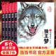 沈石溪畫本 狼王夢 全5冊 漫畫版動物小說  6-12歲經(jīng)典兒童文學(xué)故事書 珍藏版小學(xué)課外閱讀書籍