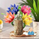 幕籬【新品巴西木】巴西木帶芽格魯加樹(shù)人開(kāi)花水培養室內好養懶人 混色巴西木+樹(shù)人+小和尚+荷葉盆