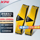 華碩（ASUS） 主板 威剛游戲威龍Z1 8GB/16GB套裝 DDR4 3200 臺式機內存條 游戲威龍3200 金色 32G