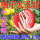 柚子膨大增甜蜜劑脫酸催熟防裂果柚子樹(shù)黃化專(zhuān)用肥水果專(zhuān)用甜蜜素 3袋裝【柚子增甜】多買(mǎi)優(yōu)惠