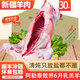 三疆牧羊新疆散養(yǎng)大尾羊全羊整只羊30斤新鮮羊排羊腿禮盒送禮生鮮燒烤食材 大尾羊30斤（整只）