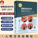 咽喉微創(chuàng  )外科策略與技巧 附視頻 雷文斌 文衛平 解剖基礎治療技術(shù)咽喉顯微手術(shù)并發(fā)癥預防及應對策略 人民衛生出版社9787117358415