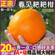 正宗大果四川春見(jiàn)耙耙柑20斤新鮮水果當季整箱丑八怪桔子粑粑柑橘 10斤 A+級商超巨無(wú)霸丨單果90-95mm鉑果甄選，更大