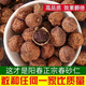 陽春砂仁正宗春砂仁干果養(yǎng)胃廣東特產(chǎn)煲湯泡水蒸肉養(yǎng)生茶 正宗陽春砂仁100克(實(shí)惠價(jià))