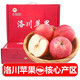 諸氏橙品 洛川紅富士蘋(píng)果 鮮蘋(píng)果 陜西高原時(shí)令生鮮水果整箱生鮮禮盒 12枚禮盒裝（帶箱約7斤）