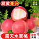 探味君 新鮮露天水蜜桃 應當季時(shí)令現摘水果桃軟毛桃子脆甜水蜜桃 整箱 凈重2.8-3斤 【中果】試吃嘗鮮