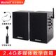 Misotech 壁掛教室教學(xué)音箱臺(tái)式電腦2.0有源多媒體音響店鋪教室會(huì)議木質(zhì)音箱筆記本 4英寸2.4G教學(xué)音箱一對(duì)