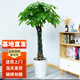 嘆為觀止大型獨桿發(fā)財樹慶典喬遷盆景綠植辦公室盆栽客廳大型植物 辮子發(fā)財樹1.2-1.4米 含盆