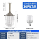 振牛國(guó)標(biāo)led防爆燈工廠房車間照明燈燈罩倉(cāng)庫(kù)燈隔爆型燈專用加油站燈 200型防爆燈罩+30W超亮燈泡 可提供證書