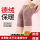 若萸德絨口袋式護膝蓋保暖老寒腿關(guān)節(jié)男女士夏季薄款防寒老人護腿套 【老寒腿護膝】咖色/對/XL碼 可放暖寶寶/加倍保溫