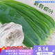 粽葉新鮮特大包粽子的葉子粽子葉大葉 新鮮野生棕葉子大號 50片【大葉寬7-11cm】