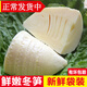 辰實(shí)冬筍新鮮 竹筍 嫩春筍 清水筍水煮筍尖 500g*3袋裝=3斤