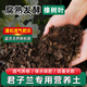 腐熟純松針君子蘭花土多肉專(zhuān)用腐葉土花卉盆栽綠植通用腐殖營(yíng)養土 15斤無(wú)土腐熟純橡樹(shù)葉