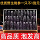 遼參100只純大連海參孕婦放心吃干貨淡干海刺參遼參批發(fā) 50只【精品高泡發(fā)】半干刺身 精品深海淡干海參新店開業(yè)大優(yōu)惠