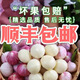 大蒜新鮮現(xiàn)挖云南大理農(nóng)家特產(chǎn)紫皮獨頭大蒜頭地標農(nóng)品順豐發(fā)新疆 紫皮獨頭蒜 2500g 果徑（3-6cm)