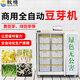 欽樽豆芽機大型商用黃綠豆芽機全自動(dòng)發(fā)豆芽機育芽機育苗機生豆芽機30到600斤機型 150型