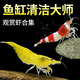 瘋狂水草觀賞蝦黑殼蝦除藻蝦淡水鮮活清潔工具彩色小蝦極火蝦櫻花蝦水晶蝦 除藻觀賞（超值組合）