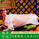 井親【活羊現殺】?jì)让晒挪菰B全羊 整只新鮮白條羊 烤全羊禮盒裝 【整羊】35-38斤【 八分體】