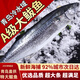 青島大鲅魚 6-15斤新鮮海捕馬鮫魚深海鲅魚 海鮮水產(chǎn) 生鮮 6斤以上/整條