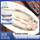 蘇城味道蘇州翹嘴白條 活殺 白水魚 淡水魚 白刁魚 海鮮水產(chǎn)低鹽 900g/2條