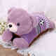 熱水袋充電暖寶寶電暖寶毛絨可愛(ài)韓版女注水暖水袋卡通暖手寶 紫色小熊