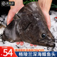 尚致鰈魚(yú)頭格陵蘭深海比目魚(yú)頭碟魚(yú)頭超大鮮活冷凍鴉片魚(yú)頭 【2只】鰈魚(yú)頭 750g /只