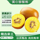 鮮窩窩 黃心獼猴桃 奇異果金果河南南陽(yáng)西峽特產(chǎn)水果禮盒禮品禮物 20枚 簡(jiǎn)裝（單果100g-130g）
