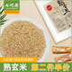 七巧廚熟玄米雪花酥太妃糖牛軋糖甜品香炒米日式糙米茶玄米茶原料 熟玄米250g*1袋
