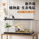 闊庭烏龜缸生態(tài)缸寵物飼養(yǎng)箱透明爬寵專用黑色款