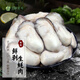 品鮮奕號生蠔肉 高品質(zhì)新鮮生蠔肉鮮活現(xiàn)剝?nèi)ずｕr即食海蠣子牡蠣肉貝類 去殼生蠔肉10斤裝 30-35粒/斤