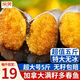朵芙滿籽多春魚  特大號(hào)多籽多春魚凈重2斤 約40條多子魚燒烤食材海鮮 【5斤】滿籽特大號(hào)13-15cm