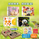 好好科學(xué)系列全二輯（套裝共20冊）科學(xué)好好玩 科學(xué)好好看 好好笑 好好吃 [日] 福田豐文 3-6歲]兒童科普百科書籍暑期閱讀暑假自主閱讀課外讀物書 好好科學(xué) 第一輯+第二輯