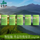 羅霄山狗牯腦茶葉2025新茶綠茶珍品特級高山云霧茶江西遂川茶葉口糧茶 珍品特級綠茶【100g*5罐】送禮袋