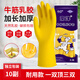 南洋牛筋乳膠手套加厚加長廚房洗碗防水防油家務(wù)清潔衛(wèi)生橡膠勞保手套 南洋手套10雙（更劃算） L碼大碼