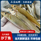 沙丁魚深海魚3斤裝新鮮活殺速凍燒烤食材海鮮水產(chǎn)冷凍沙尖魚廣東 規(guī)格 三斤福利優(yōu)惠裝（推薦）