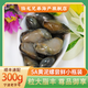 陸龍5A黃泥螺粒大脂豐即食野生醉泥螺古法制作寧波特產(chǎn)老字號海鮮水產(chǎn) [冷凍 ]5A黃泥螺300g*1瓶