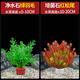 瘋狂水草（FKSC）真水草魚(yú)缸造景套餐凈化水質(zhì)懶人魚(yú)缸水草植物直接入缸蜈蚣草 【凈水石】綠羽毛+紅松尾