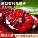 聚牛果園進口智利車厘子JJ/JJJ/JJJJ【多地次日達】新鮮水果JD/SF隨機發(fā)貨 450g(凈重)  車厘子一斤JJJJ級