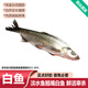 品鮮肴淡水鮮活大翹嘴魚生態(tài)白魚白刁魚新鮮淡水魚小刁子魚翹嘴白魚翹殼 新鮮白魚2條（每條1-1.1斤）