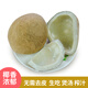 果齋園新鮮無汁椰子皇 單果約150-200g 椰子雞煲湯燉湯食材干吃榨汁椰子 3個(gè)裝（發(fā)圓通）
