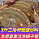 鮨京【漁港直發(fā)】梭子蟹鮮活冷凍螃蟹新鮮肉母蟹飛蟹白蟹海鮮水產(chǎn) 【三角母3斤】梭子蟹(約10~15只)