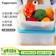 特百惠（Tupperware）雪影冰箱冷藏冷冻超大保鲜盒2件套5.7Lx2密封储藏收纳盒食品级