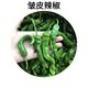 食藝鮮（SHIYIXIAN）露天小皺皮辣椒新鮮農家土青椒爆辣青辣椒脆爽皮薄農家菜 1500g