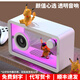 芯禮透明無線藍牙音響臺式電腦桌面音箱高音質氛圍燈INS風極簡擺件DIY手辦展示刻字送男女朋友生日禮物 極簡白音響+藍牙+音頻線連接